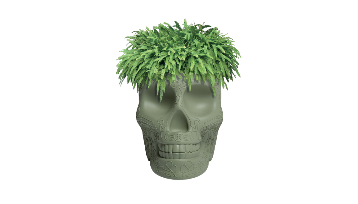 QEEBOOMEXICO PLANTER AND CHAMPAGNE COOLER盆栽