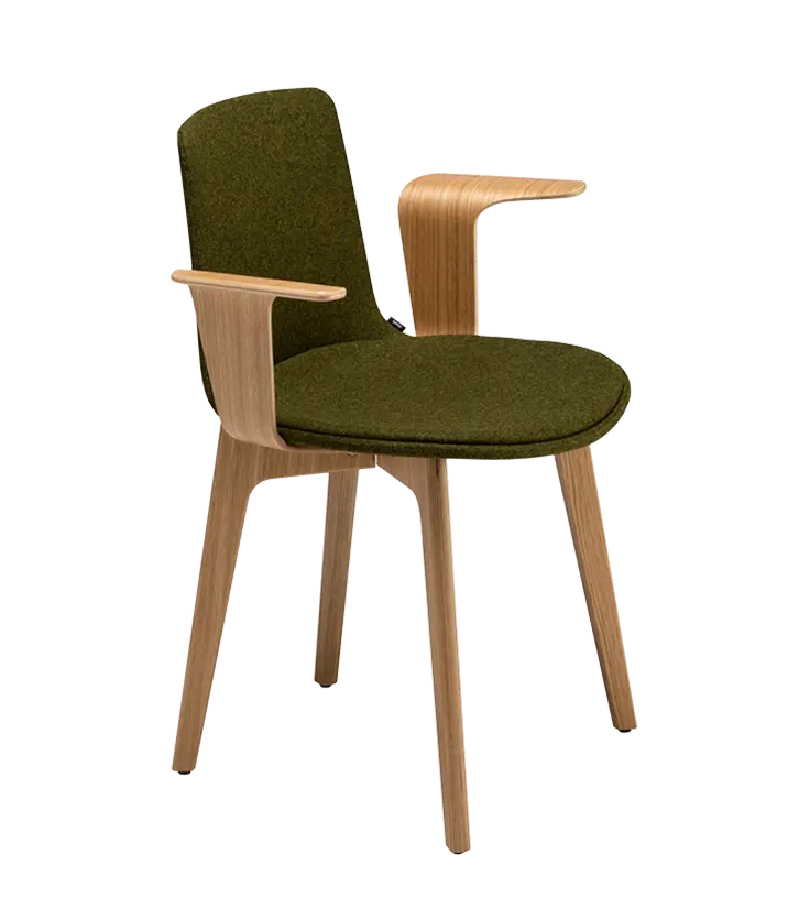 eneaLottus Wood armchair休闲椅